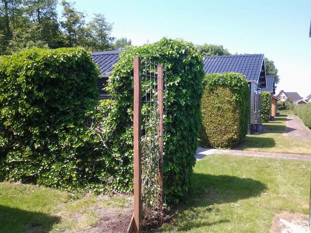 曼斯玛住宿加早餐旅馆 Moddergat 外观 照片